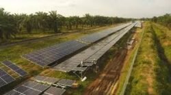 IPO Perusahaan Energi Terbarukan Dipicu Tren Transisi Hijau di Indonesia